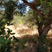 Земельный участок в Греции, Крит