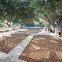 Other in Greece, Crete, Chania, 100 sq.m.