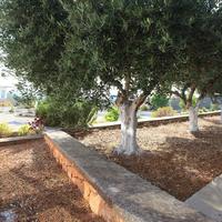 Other in Greece, Crete, Chania, 100 sq.m.