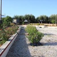 Other in Greece, Crete, Chania, 100 sq.m.