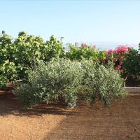 Other in Greece, Crete, Chania, 100 sq.m.