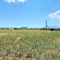 Land plot in Greece, Central Macedonia, Center, 24000 sq.m.