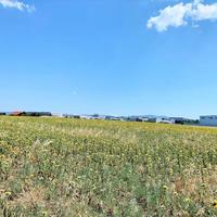 Land plot in Greece, Central Macedonia, Center, 24000 sq.m.