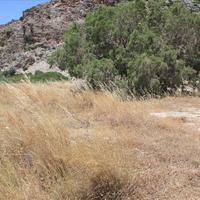 Земельный участок в Греции, Крит, Ханья