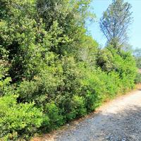 Land plot in Greece, Ionian Islands