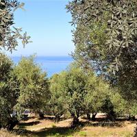 Land plot in Greece, Ionian Islands