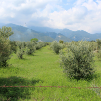 Land plot in Greece, Central Macedonia, Center
