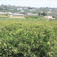 Land plot in Greece, Crete, Chania