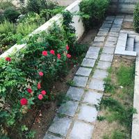 Квартира в Греции, Аттика, Афины, 193 кв.м.