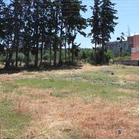Land plot in Greece, Crete, Chania