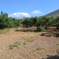 Land plot in Greece, Crete, Irakleion