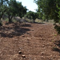 Land plot in Greece, Crete, Irakleion