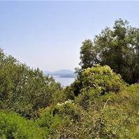 Земельный участок в Греции, Ионические острова