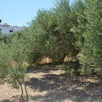 Land plot in Greece, Crete, Irakleion