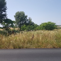 Земельный участок в Греции, Центральная Македония, Центр