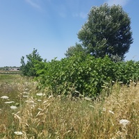 Земельный участок в Греции, Центральная Македония, Центр