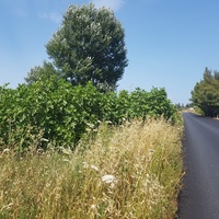 Земельный участок в Греции, Центральная Македония, Центр