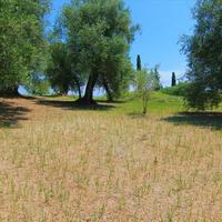 Land plot in Greece, Ionian Islands