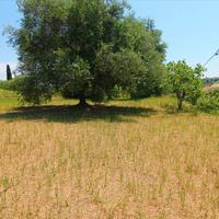 Land plot in Greece, Ionian Islands