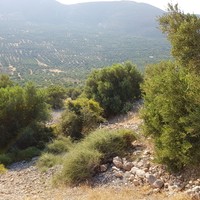 Land plot in Greece, Crete