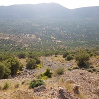 Land plot in Greece, Crete