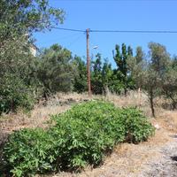 Other in Greece, Crete, Chania, 85 sq.m.