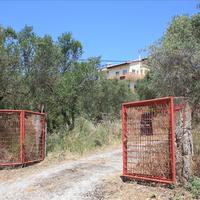 Other in Greece, Crete, Chania, 85 sq.m.