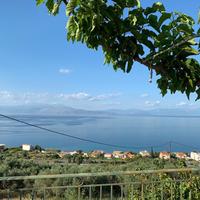 Другое в Греции, Пелопоннес, Kori, 278 кв.м.