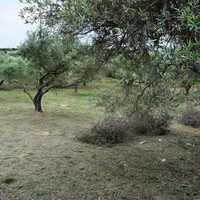 Land plot in Greece, Crete, Chania