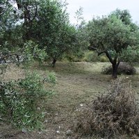 Land plot in Greece, Crete, Chania