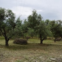 Land plot in Greece, Crete, Chania