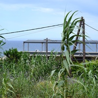 Land plot in Greece, Crete, Chania