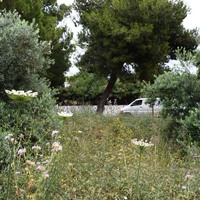Land plot in Greece, Crete, Chania