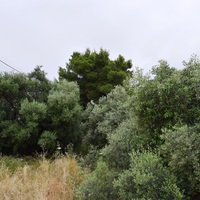 Land plot in Greece, Crete, Chania