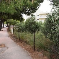Land plot in Greece, Crete, Chania