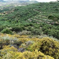 Земельный участок в Греции, Крит, Ханья