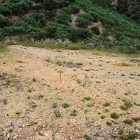 Земельный участок в Греции, Крит, Ханья