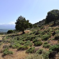 Land plot in Greece, Crete, Chania