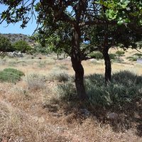 Land plot in Greece, Crete, Chania