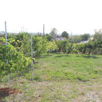 Other in Greece, Central Macedonia, Center, 216 sq.m.