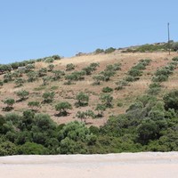 Земельный участок в Греции, Крит