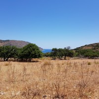 Земельный участок в Греции, Крит