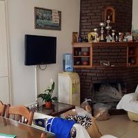 Другое на Кипре, Лима, 230 кв.м.