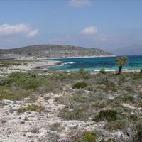 Land plot in Greece, Peloponnese, Lac