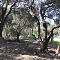 Земельный участок в Греции, Ионические острова