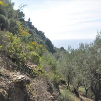 Земельный участок в Греции, Ионические острова