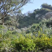 Земельный участок в Греции, Ионические острова