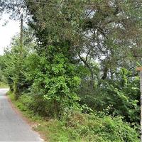 Земельный участок в Греции, Ионические острова