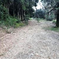 Land plot in Greece, Ionian Islands