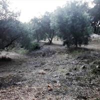 Land plot in Greece, Ionian Islands